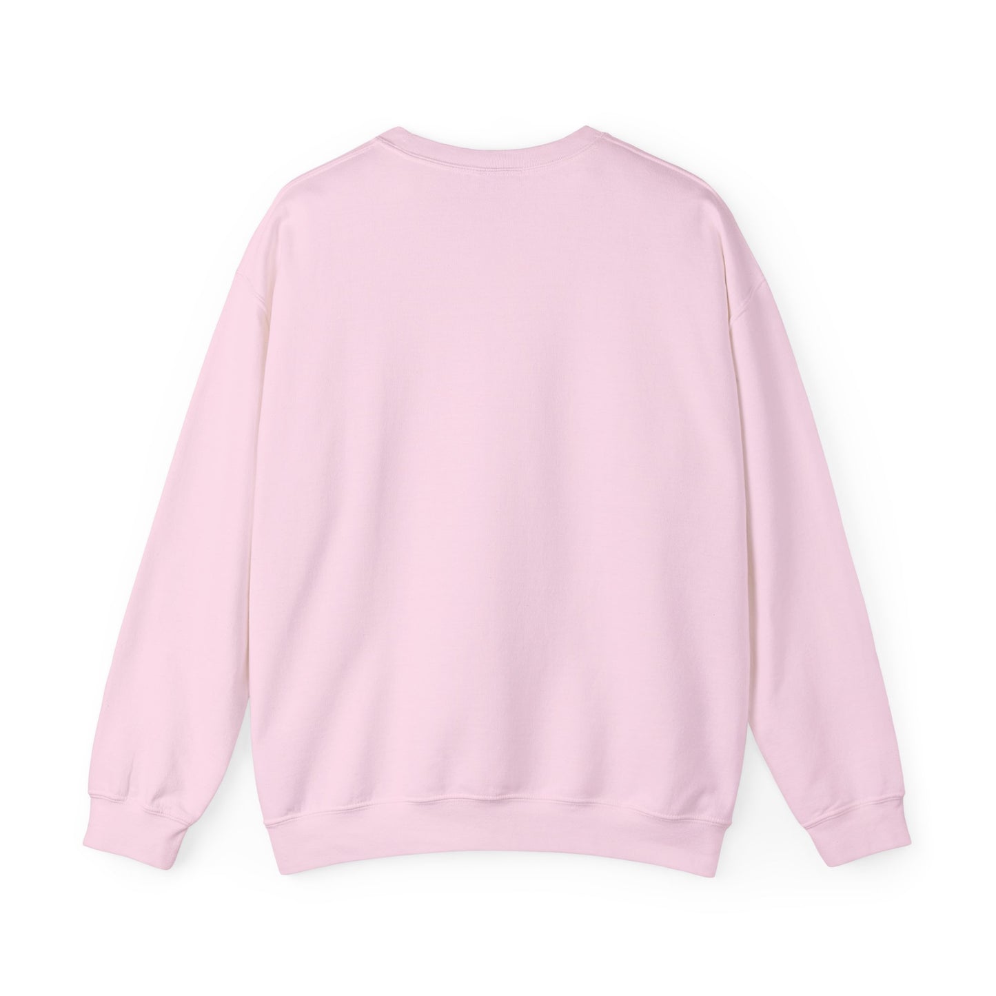 PPG Sweatshirt
