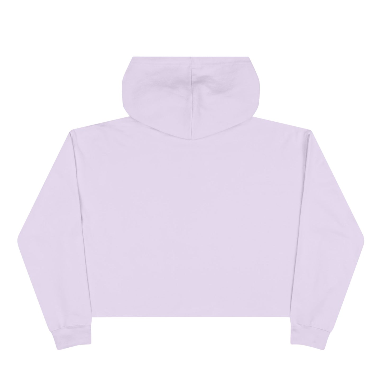 PPG Crop Hoodie