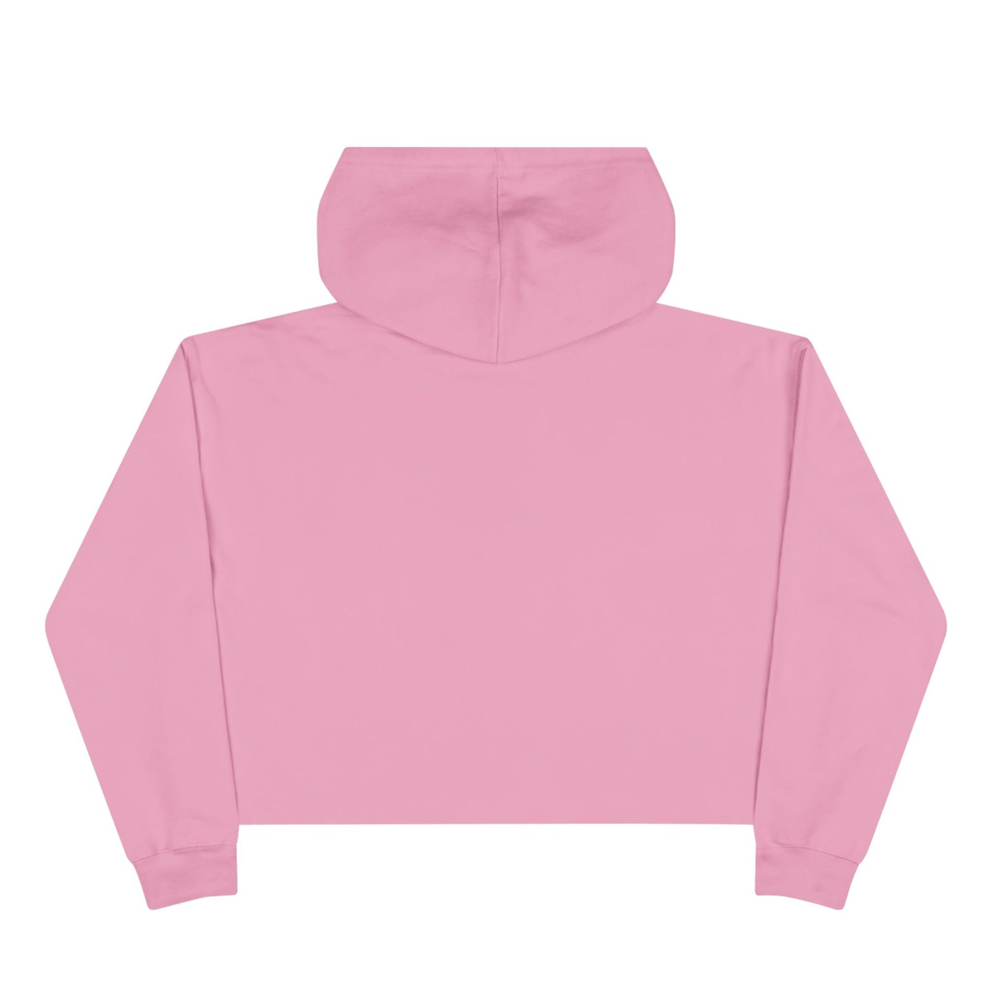 PPG Crop Hoodie