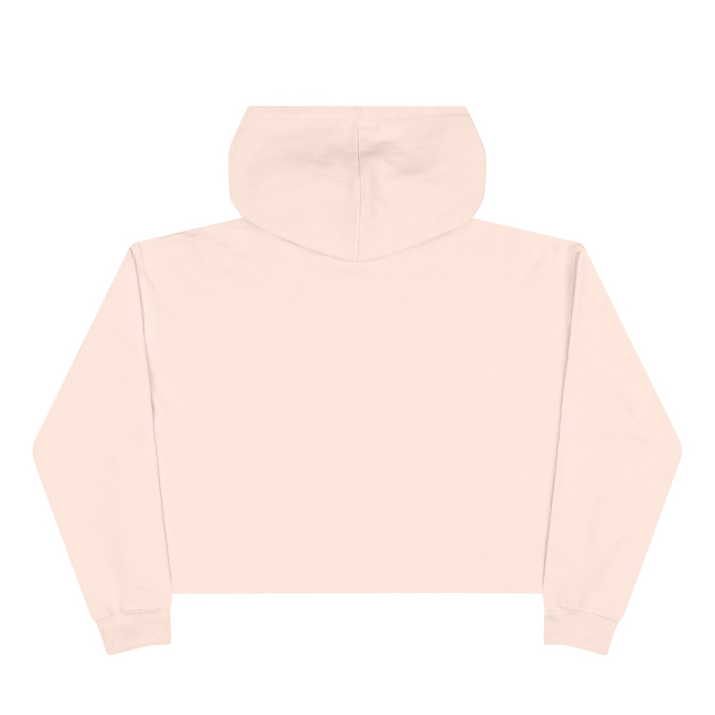 PPG Crop Hoodie